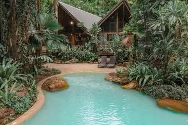 Отель Ferntree Rainforest