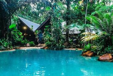 בית מלון כפרי Ferntree Rainforest