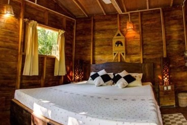 Hotel 360 Rainforest