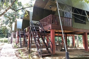 Hotel 360 Rainforest