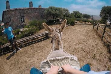 בית מלון כפרי Casas De Pedra   Quinta Da Escola