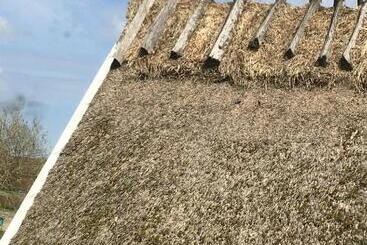 ベッドアンドブレックファースト Munkamöllan Logi Skåne Tranås