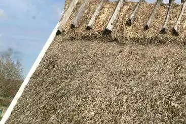 ベッドアンドブレックファースト Munkamöllan Logi Skåne Tranås