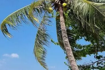 Hotelli Soul Villas By The Beach  Phuket