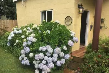 ペンション Cabin&cottage Kaapsehoop