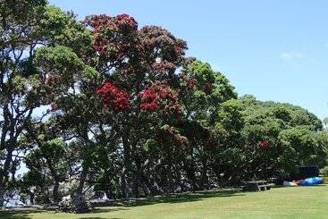 Отель Bream Bay Lodge