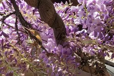 Bed and Breakfast Le Jardin De Félicie