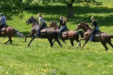 酒店 Georges Wenger