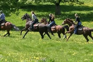 酒店 Georges Wenger