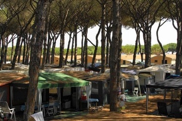 בית מלון כפרי Camping Village Marina Chiara