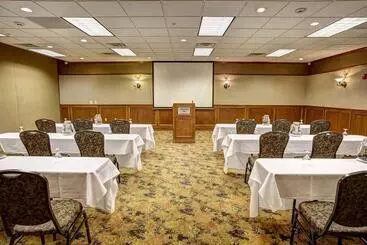 Otel Comfort Inn & Suites Rapid City Near Mt Rushmore