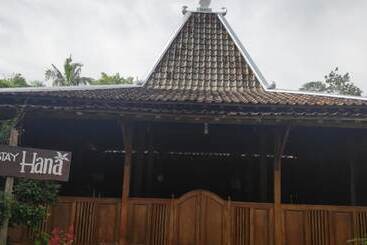 Vandrarhem Homestay Hana