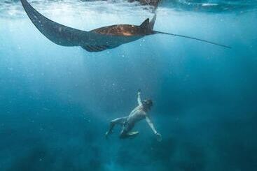 Bed and Breakfast Ocean Brothers