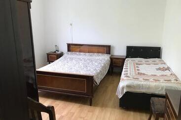 ペンション Nika's Guest House