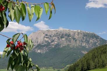 酒店 Ferienbauernhof Masunerhof