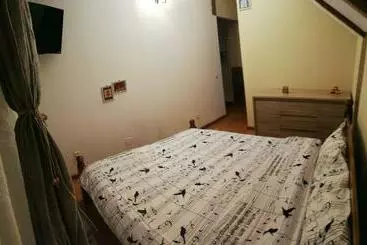 Pension Vila Vladimir