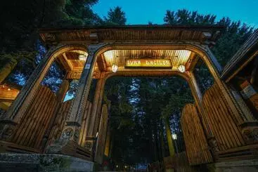 Pensiunea Sura Dacilor   Alex