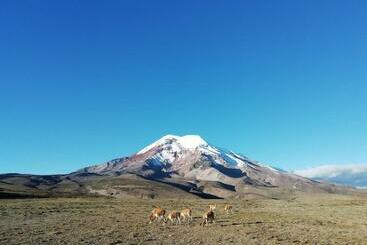 Bed and Breakfast Hostal La Casa Amarilla City