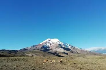 ベッドアンドブレックファースト Hostal La Casa Amarilla City