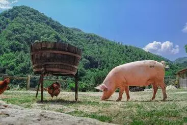 Mökkimajoitus Agriturismo La Ferrera