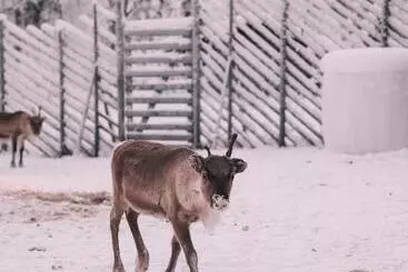 Hotel Northern Lights Ranch