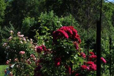 Bed and Breakfast Le Champ Bagnolet