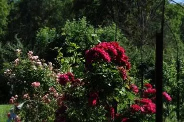 Aamiaismajoitus (B&B) Le Champ Bagnolet