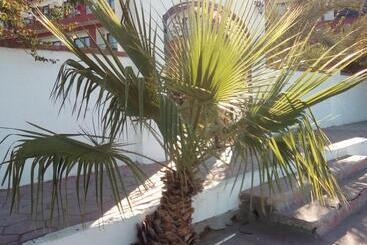 پانسیون Beach Club Junior Suite