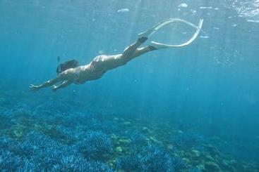 تختخواب و صبحانه 蒙德里安山水民宿