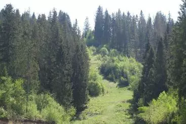 Schronisko Pogar Inn