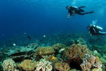 Bed and Breakfast Sinar Harapan