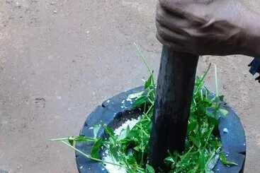 Bed and Breakfast Yala Avian Eye Safari