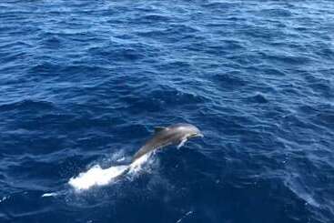 Hermes Hotel özdere