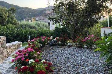 ベッドアンドブレックファースト La Pergola Appartamenti