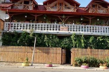 بنسيون Mon Ami