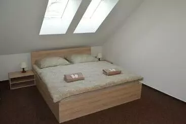Pension Penzion Sezemice