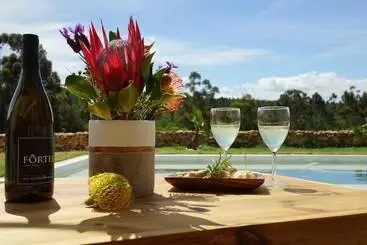 Bed & Breakfast Stellar Overberg Travellers Lodge