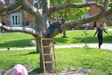 Отель Feriengut Dalwitz Ferienhaeuser