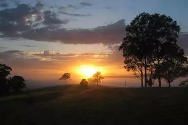 Bellbirdhill Bed & Breakfast