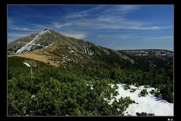 膳宿费 Penzion Hotelu Central