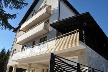 ペンション Transylvania Villa & Spa