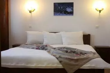 Pensió Conacul Samfirei