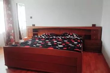 Pensió Casa De Vacanta Madalina