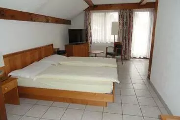 Pensió Gasthof Sonne