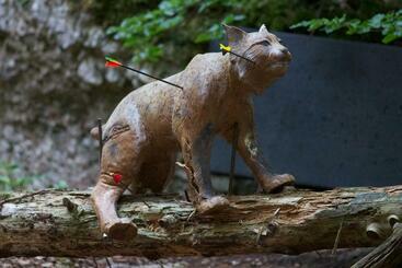Pensão Landgasthof Zum Elsabauern