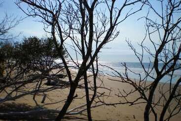 Мотель Moore Park Beach Inn