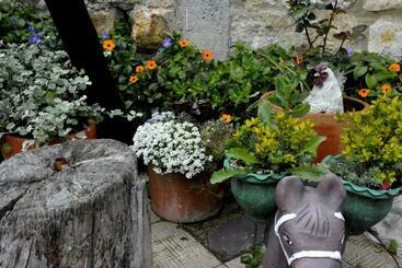 Bed & Breakfast El Pedregal Sopó