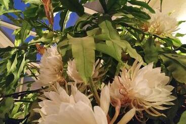 Bed and Breakfast Maison La Grande Serre