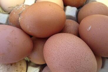 בית מלון כפרי Agriturismo Biologico La Buona Terra