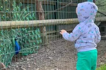 Pensjonat Sadyba Lesivykh